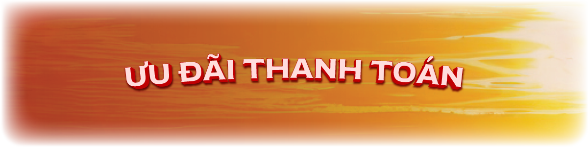 Ưu đãi thanh toán 