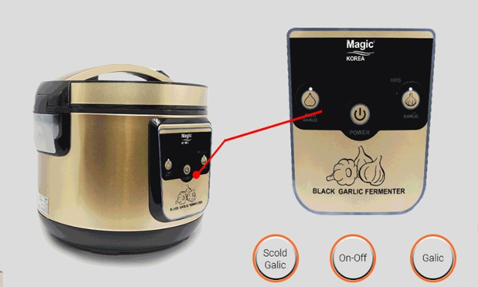 Máy làm tỏi đen Magic A-79 với 3 nút bấm đơn giản, dễ sử dụng