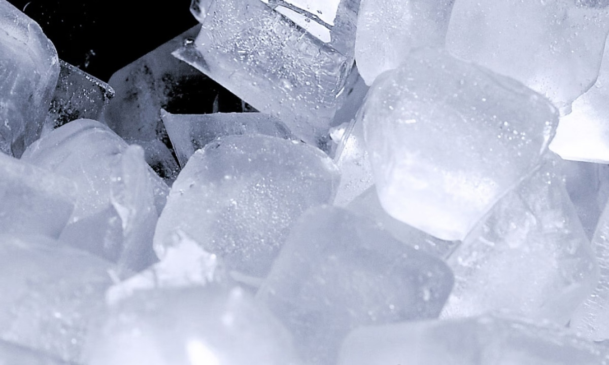 Tủ lạnh LG Inverter French Door 510 lít F51EG