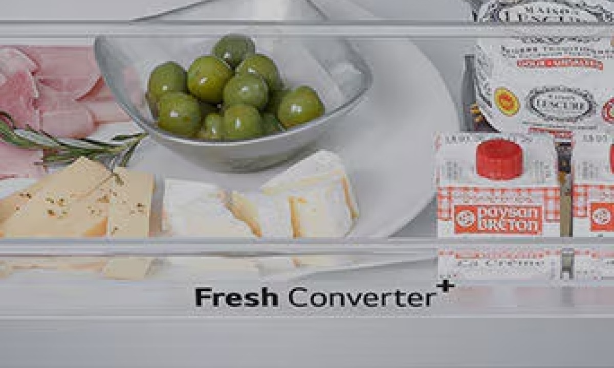 Tủ lạnh LG Inverter French Door 510 lít F51EG