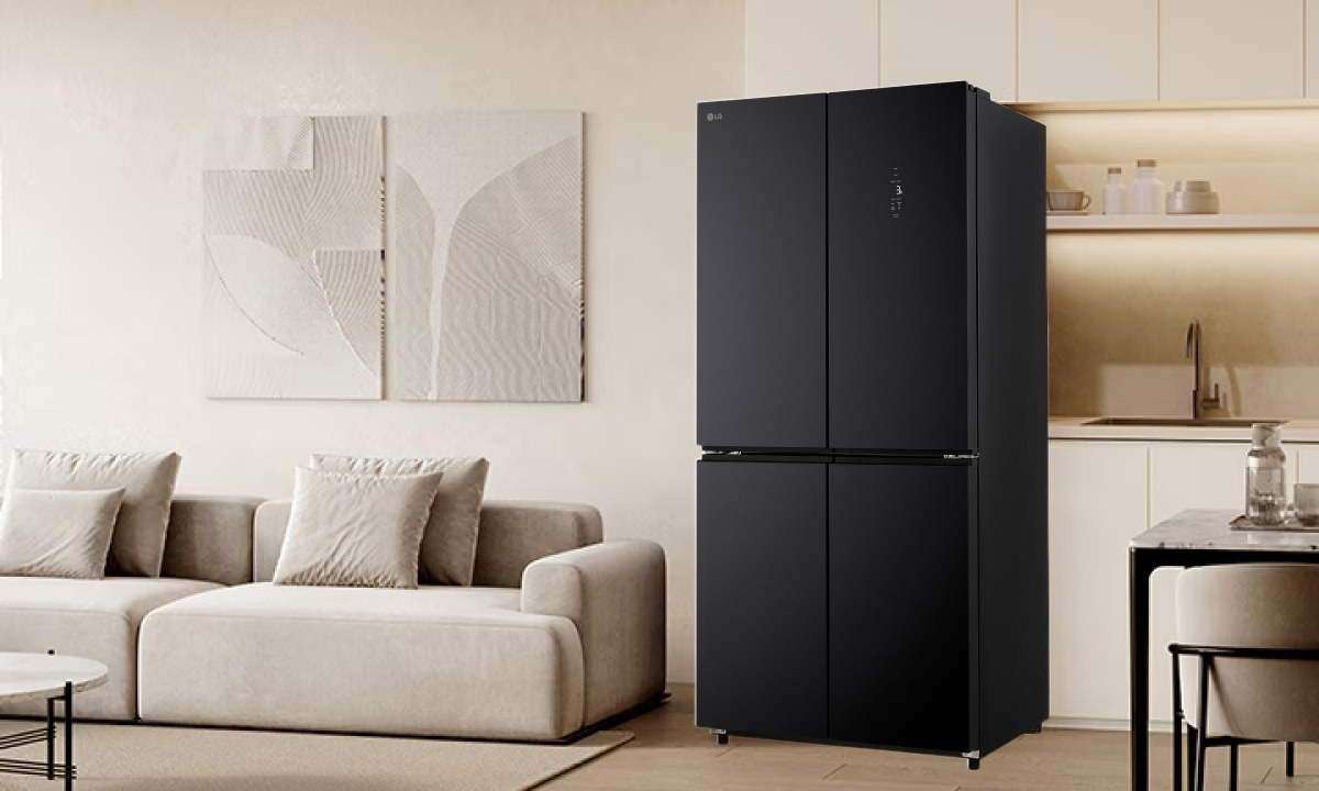 Tủ lạnh LG Inverter 502 lít F50BG