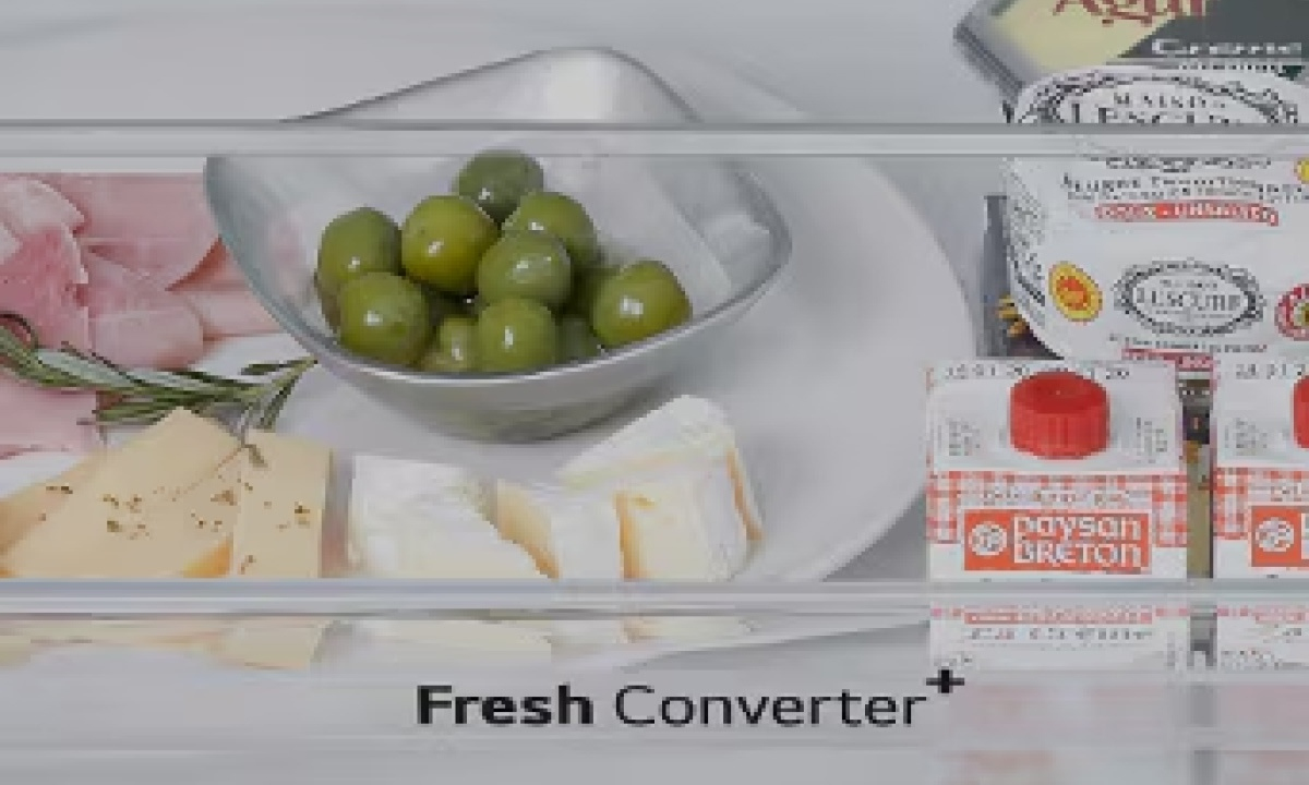 Tủ lạnh LG Inverter 502 lít F50BG