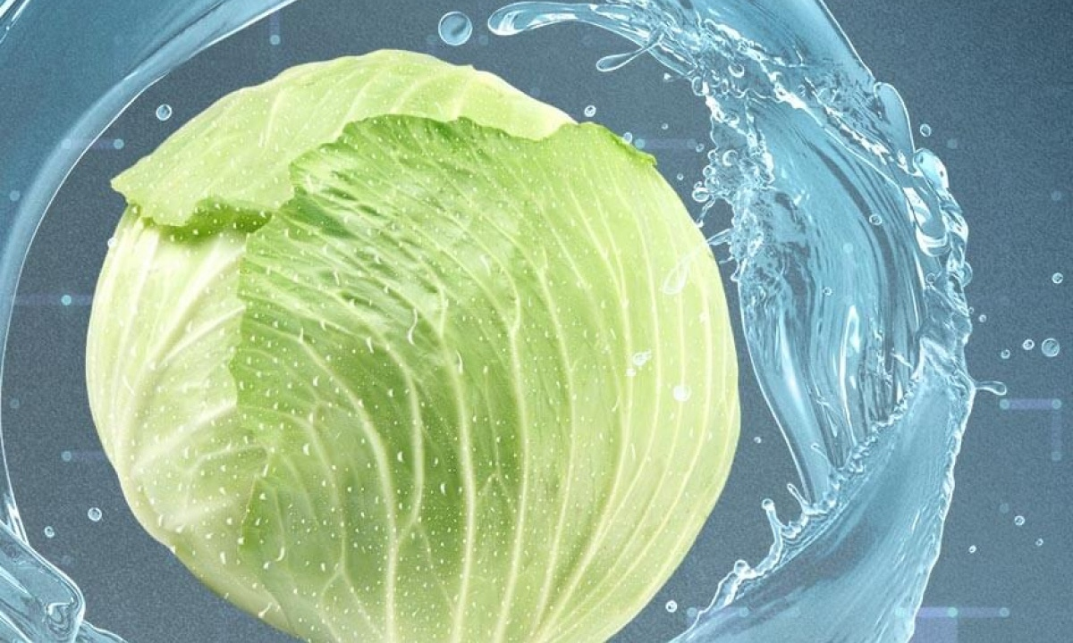 Bảo vệ sức khỏe với công nghệ Plasmacluster Công nghệ Plasmacluster Ion – niềm tự hào của Sharp – giúp khử khuẩn, khử mùi và loại bỏ các tác nhân gây hại trong không khí bên trong tủ. Nhờ đó, thực phẩm luôn được bảo quản trong môi trường trong lành, an toàn cho sức khỏe và giữ trọn hương vị tươi ngon mỗi ngày.