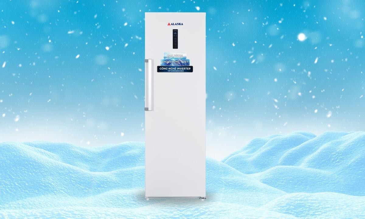 Tủ đông Sanaky VH-2299A1 sang trọng, nhỏ gọn 