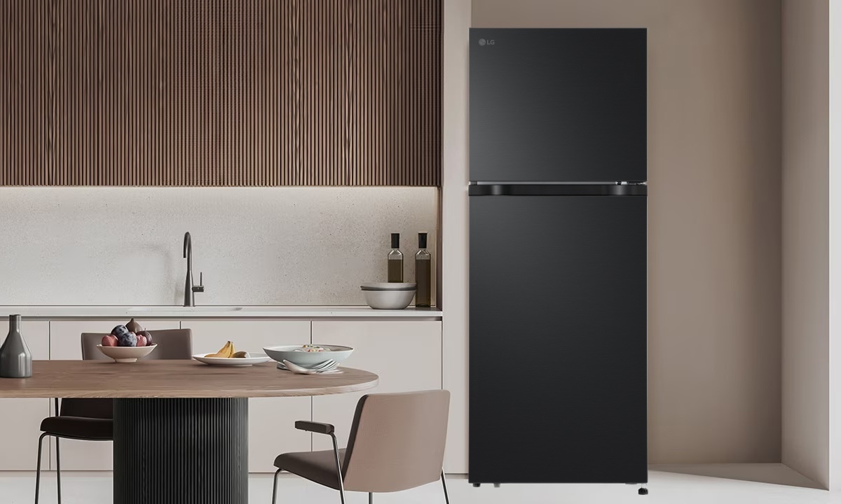 Tủ lạnh Samsung Inverter 236 lít RT22M4032BU diện mạo sang trọng