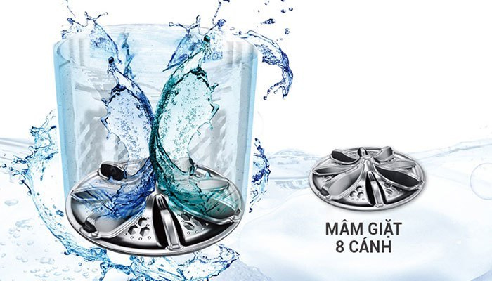 StainMaster kết hợp cùng mâm giặt giúp đánh bay vi khuẩn hiệu quả