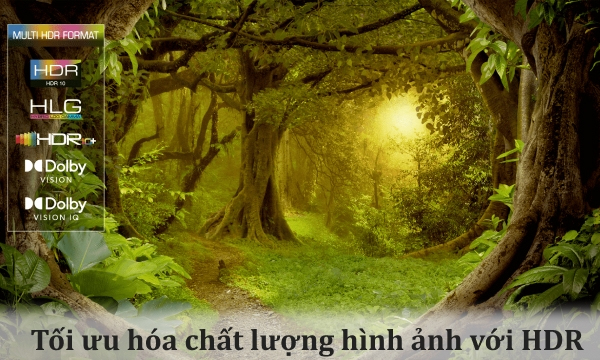 Google Tivi Mini QLED TCL 4K 65 inch 65C845