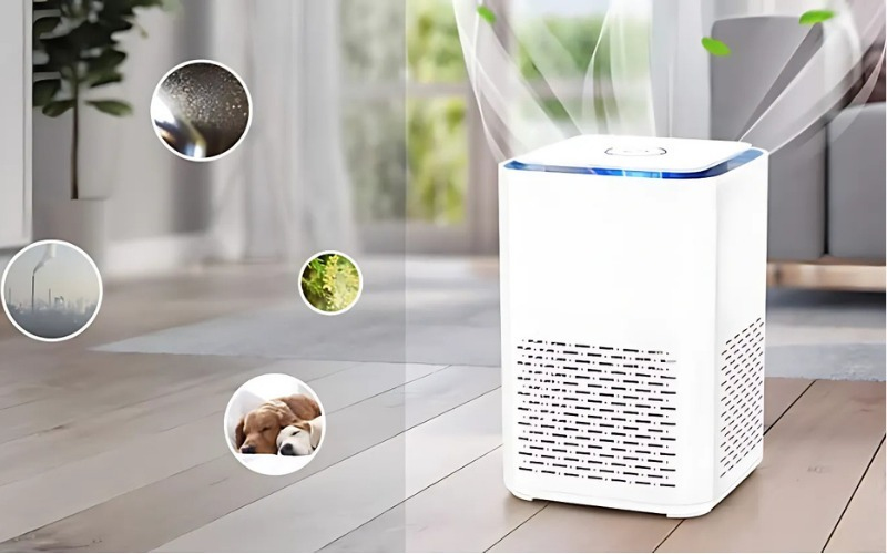 máy lọc không khí có hút ẩm không
