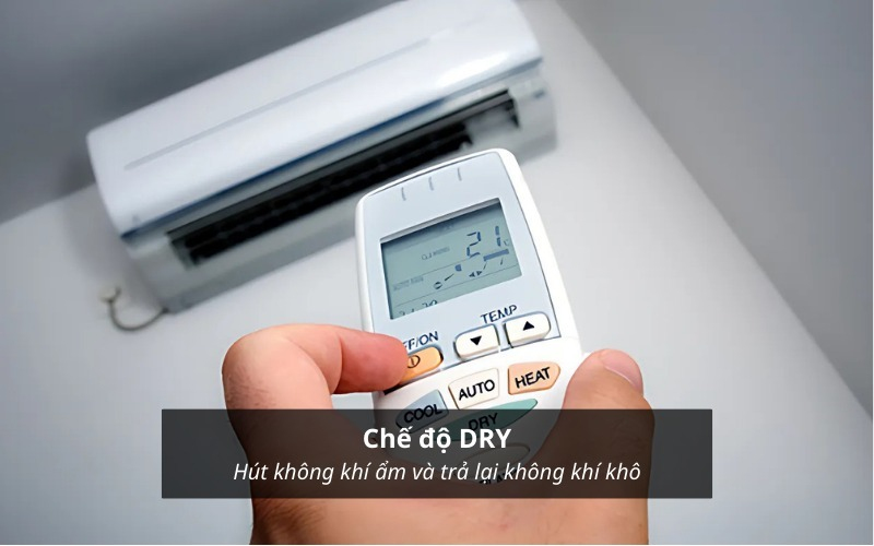 Cơ chế hoạt động