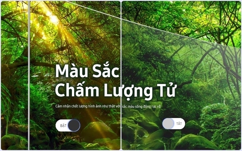 Các chấm lượng tử trên tivi Sasung SUHD giúp màu sắc tươi sáng hơn
