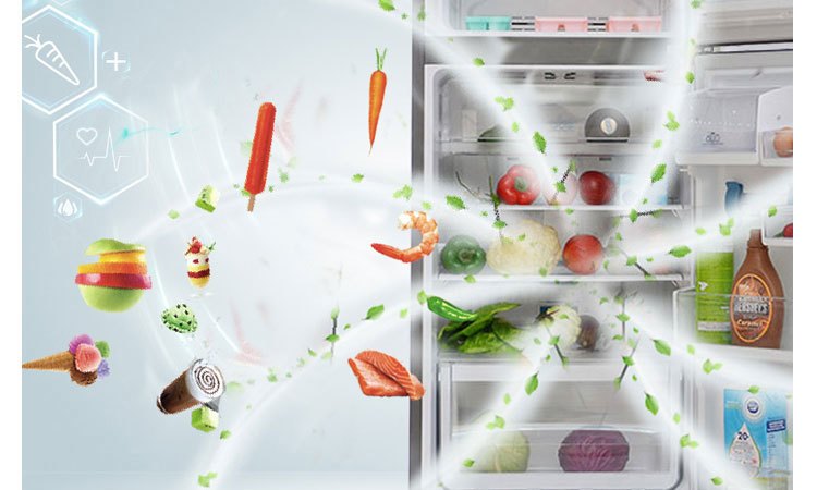 Tủ lạnh Electrolux ETE3500SE-RVN thực phẩm không bị lẫn mùi