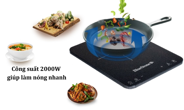 Bếp từ BlueStone ICB-6729