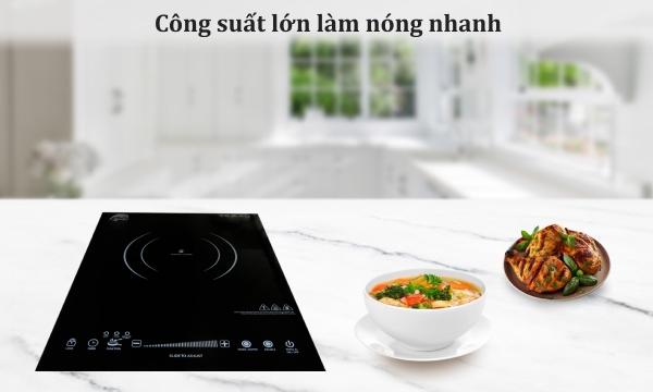 Bếp hồng ngoại Iruka I-110