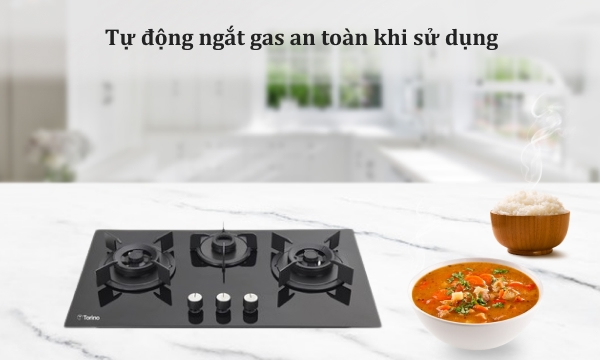 Bếp gas âm Torino Milan-3B