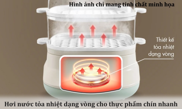 Nồi hấp đa năng Bear DZG-C60Q8