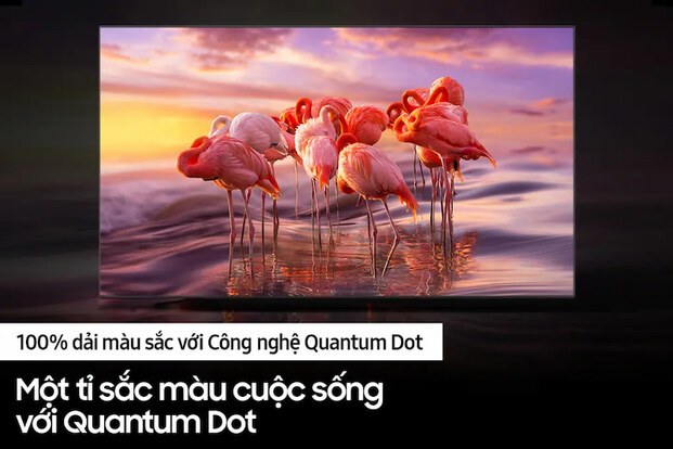Smart Tivi QLED Samsung Công nghệ hình ảnh sắc nét