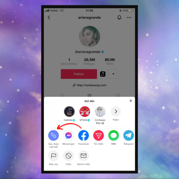 Tiếp theo bạn chọn mục sao chép liên kết