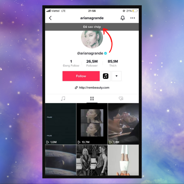 Khi màn hình hiện pop-up đã sao chép là bạn đã copy link thành công