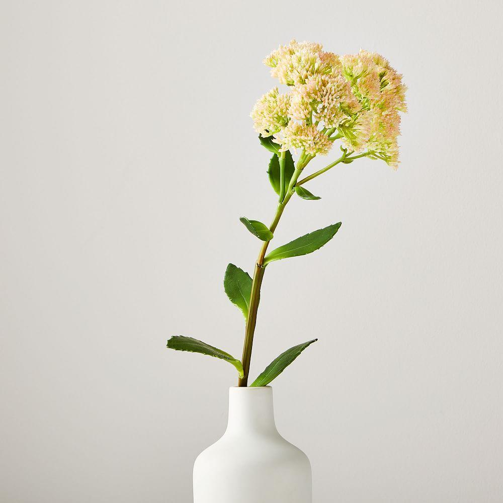 Hoa ngày Tết - hoa sống đời