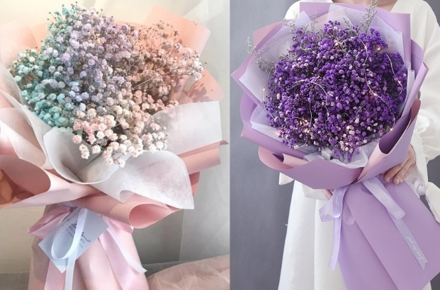 Hoa baby ưa chuộng với vẻ ngoài nhỏ nhắn