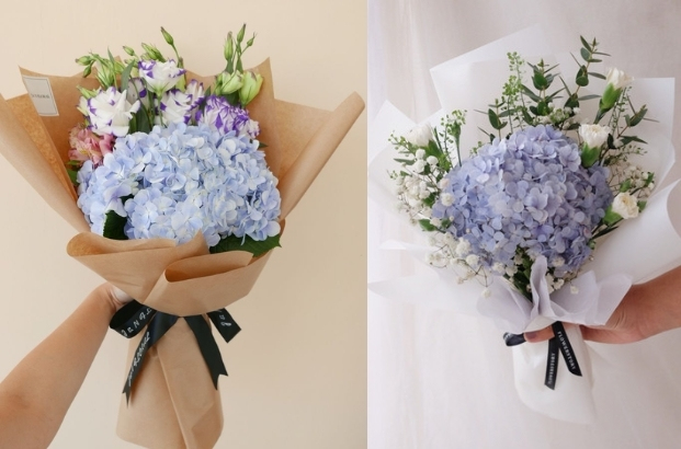 Cẩm tú cầu tặng ngày 8/3