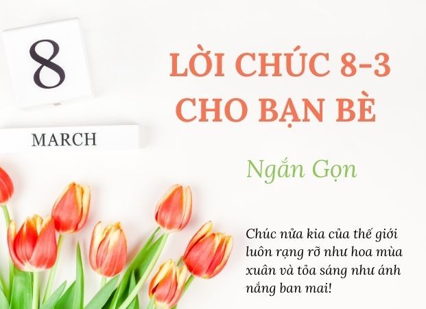 101 lời chúc 8/3 cho bạn bè hay, ngắn gọn, hot trend | Nguyễn Kim Blog