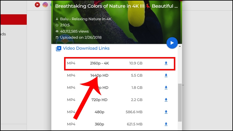 Nhấn vào nút mũi tên màu xanh trên ứng dụng để download video 4K