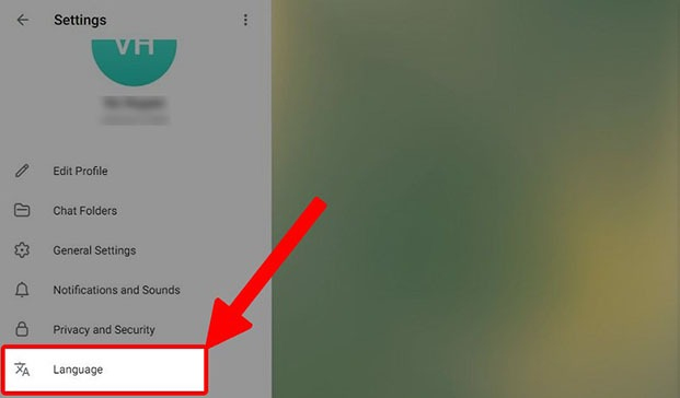 Chọn mục Language (Ngôn ngữ) trong ứng dụng