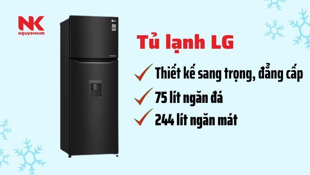 Tủ lạnh LG Inverter