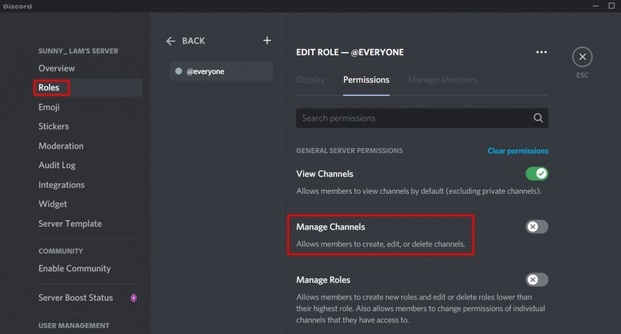 Nhấp vào Roles rồi chọn Manage Channels (Nguồn: Internet)