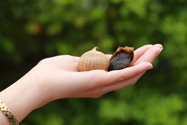 tỏi đen giúp tăng cường hệ miễn dịch