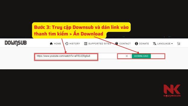 Dán liên kết vào thanh tìm kiếm trong Downsub (Nguồn: Internet)