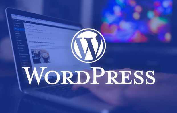 Wordpress - web kiếm tiền online bằng cách xây dựng trang web bán hàng trực tuyến (Nguồn: Internet)