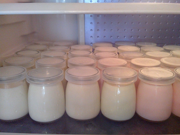 Hũ sữa chua dẻo mịn thơm ngon trong tủ lạnh