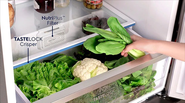 Ngăn rau Tastelock trên tủ lạnh Electrolux Nguyễn Kim