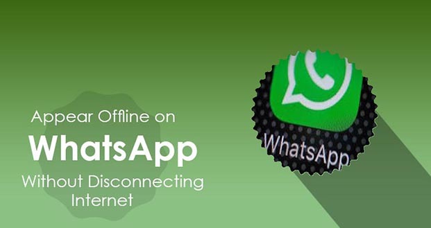 Sử dụng Whatsapp offline