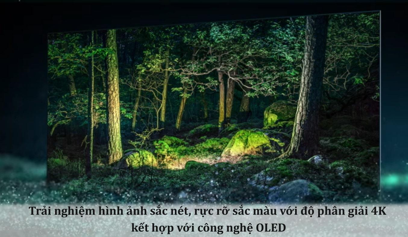 Smart Tivi OLED Samsung 4K 65 inch QA65S95BAKXXV