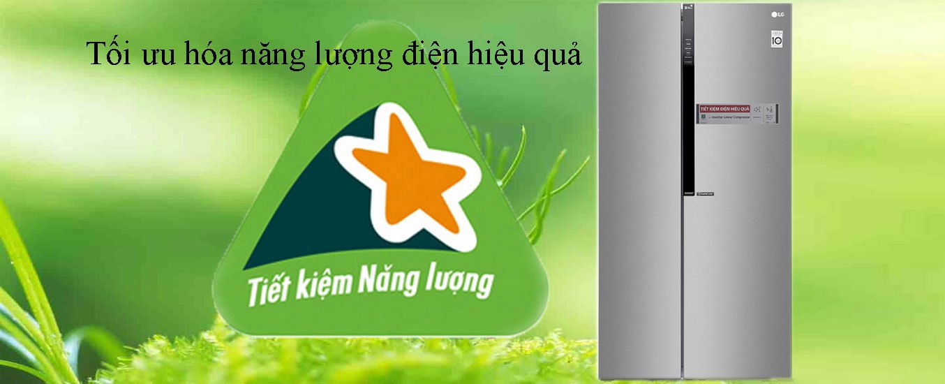 Tủ Lạnh LG Inverter 613 lít GR-B247JDS tiết kiệm điện năng