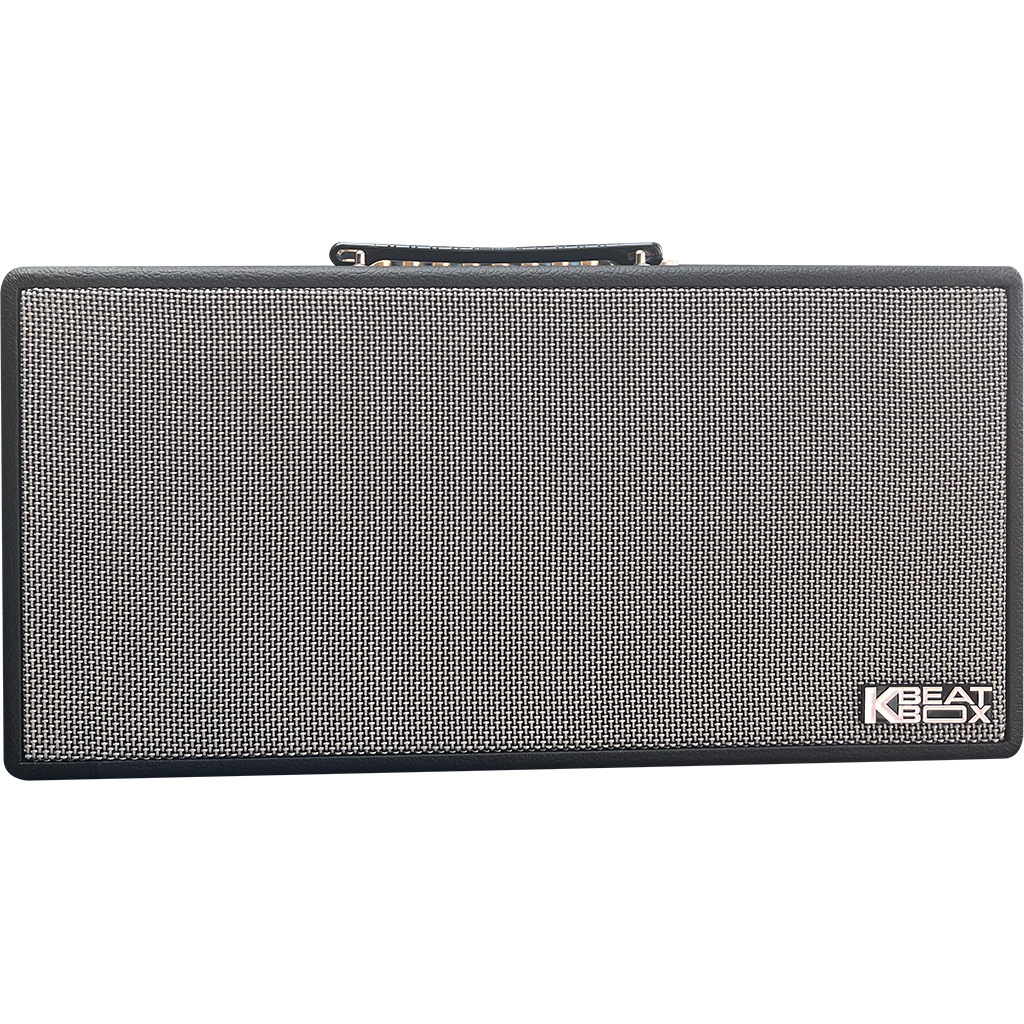 Loa di động xách tay Acnos CS450SR