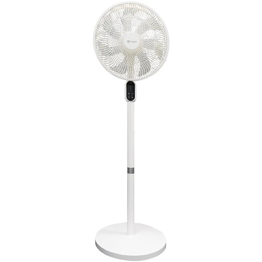 Quạt Đứng Casper F - Ds14W1