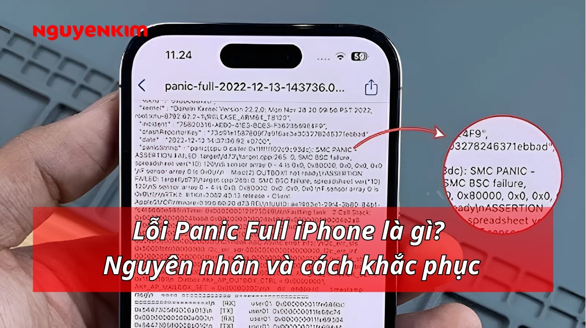 Lỗi Panic Full iPhone là gì? Nguyên nhân và cách khắc phục