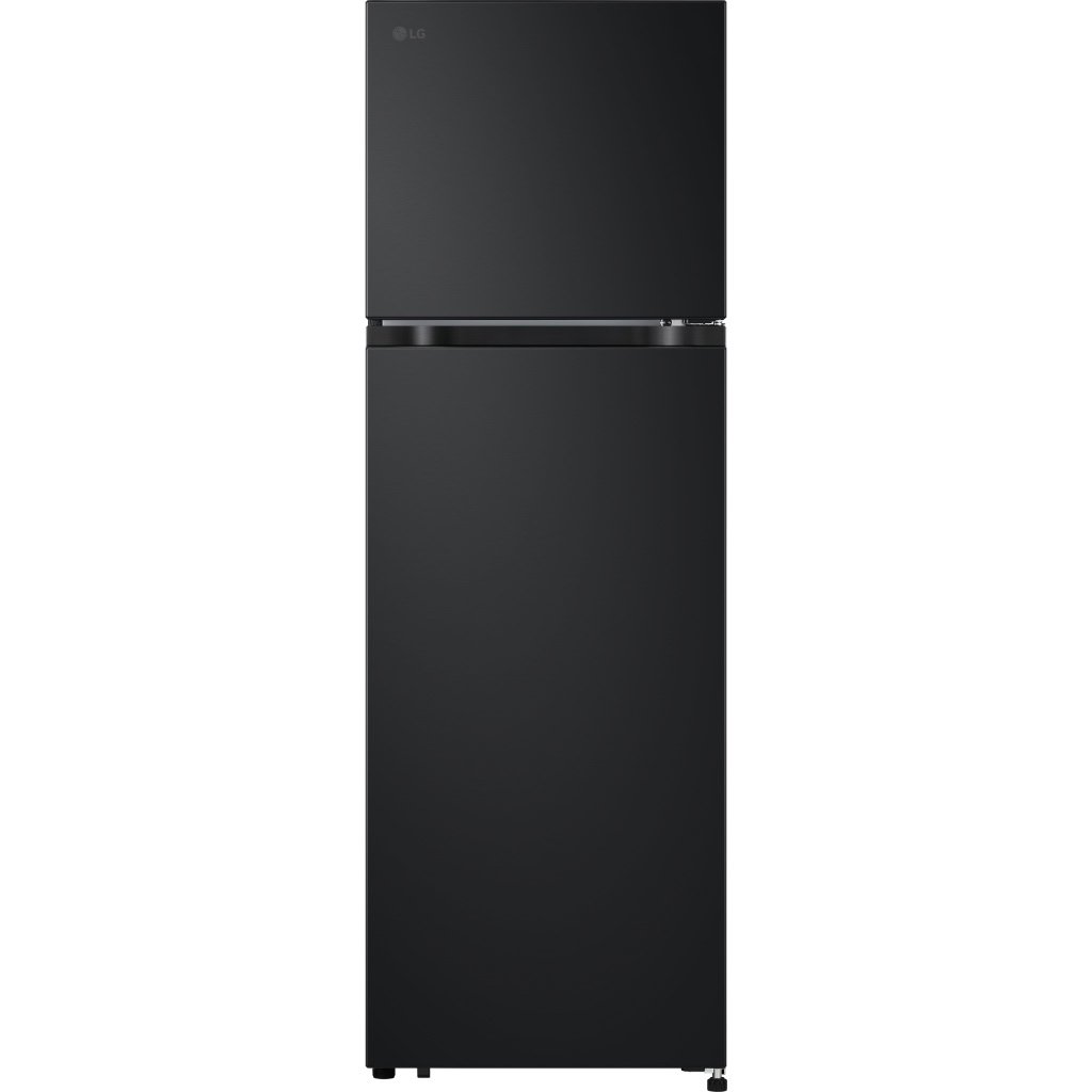 LG Inverter 266 lít LTB26BLM