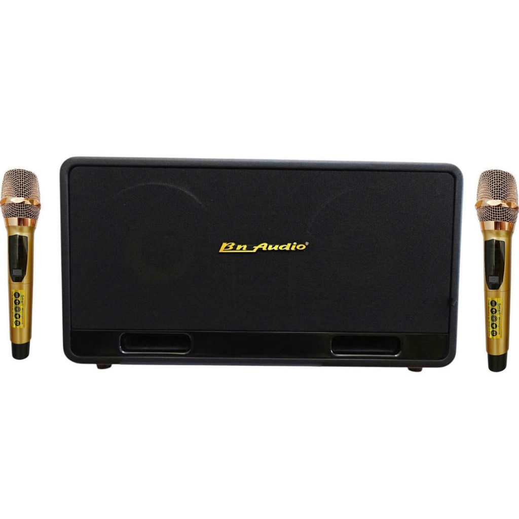 Loa xách tay BN Audio BA 5000 VII