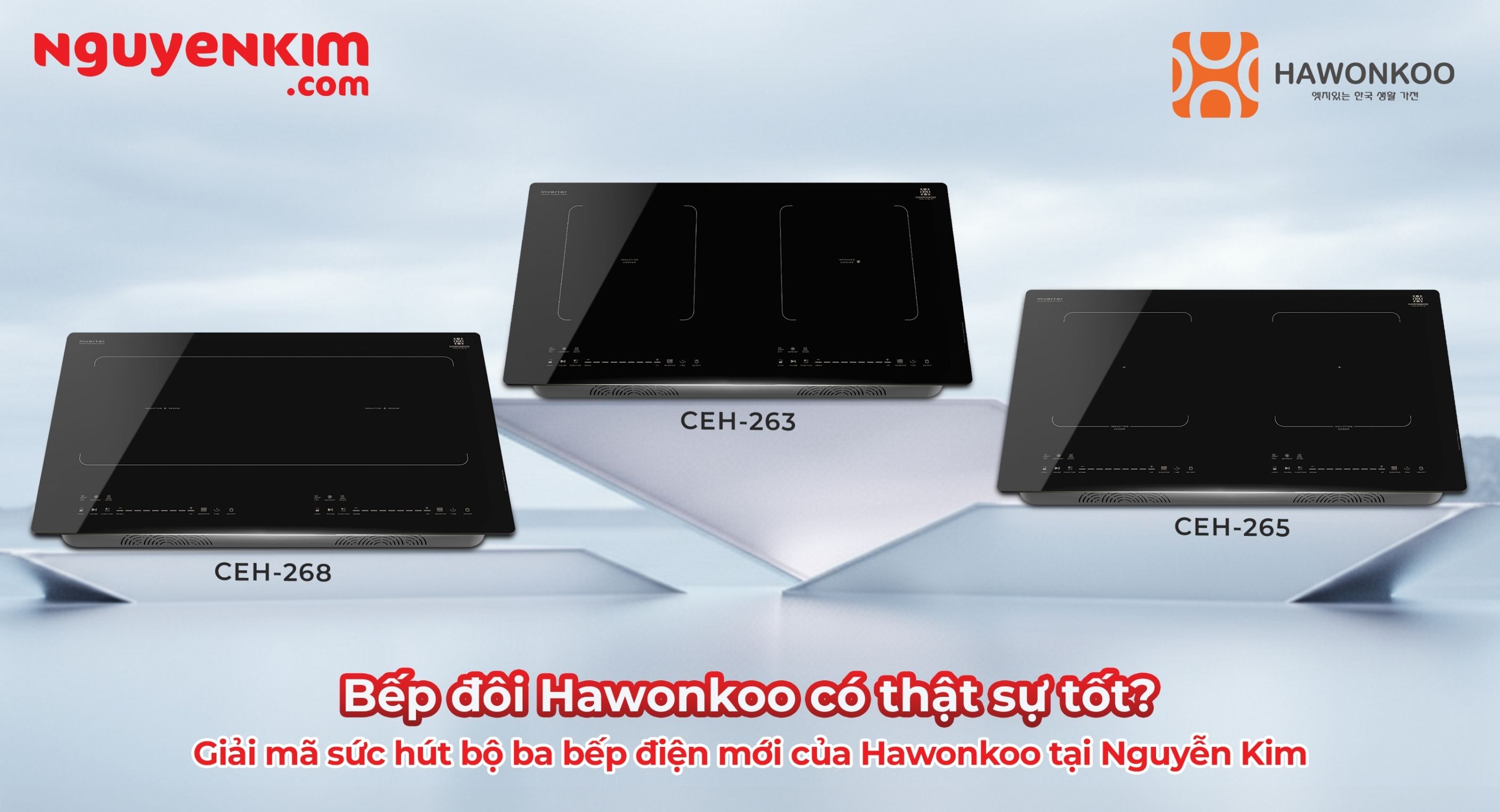 Bếp đôi Hawonkoo có thật sự tốt? Giải mã sức hút của bộ ba bếp điện mới