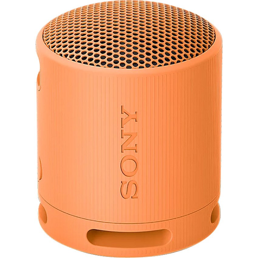 Loa Bluetooth Sony SRS-XB100 Cam