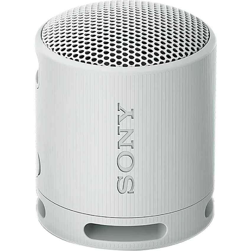 Loa Bluetooth Sony SRS-XB100 Xám