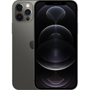 iPhone 12 Pro Max 256 GB Grau