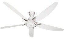 Quạt trần Panasonic F-60GDS-WS