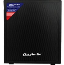 Loa sub BN Audio SW2