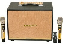 Loa xách tay Boston Audio BA 9999 VII